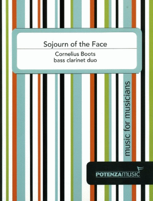 Book cover for Sojourn of the Face
