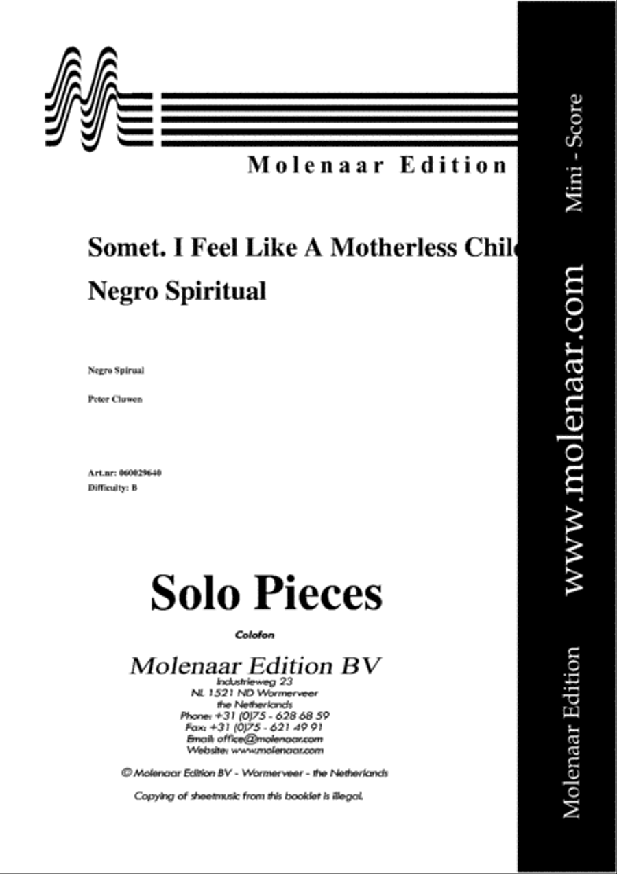 Sometimes I Feel Like a Motherless Chile Piano Accompaniment scores gallery preview page 2