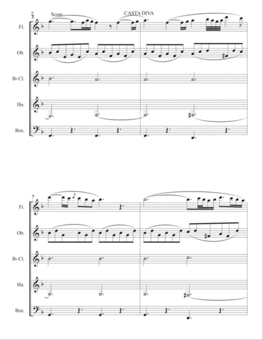 Casta Diva from Norma by Vincenzo Bellini Woodwind Quintet scores gallery preview page 2