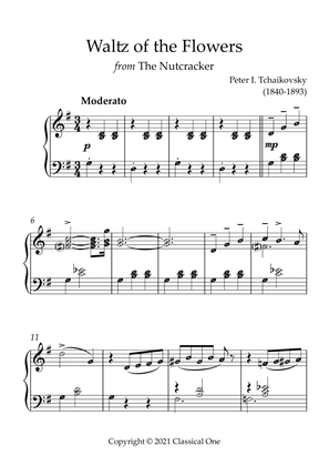 Book cover for Tchaikovsky - Waltz of the Flowers (from The Nutcracker)(With Note name)