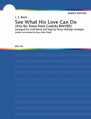 See What His Love Can Do Wind Band And Harp Score/parts