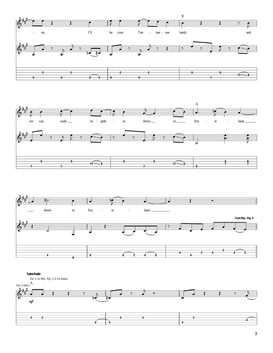 Dixie Chicken Acoustic Guitar scores gallery preview page 3