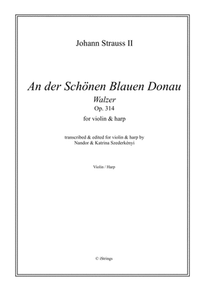 Book cover for Danube Waltz