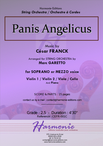 PANIS ANGELICUS - Cesar Franck // Voice and accompagniement : String Orchestra + Piano image number null
