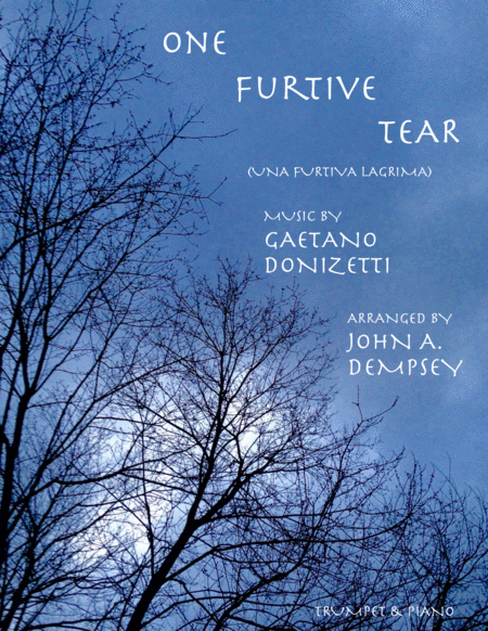 One Furtive Tear (Una Furtiva Lagrima): Trumpet and Piano image number null