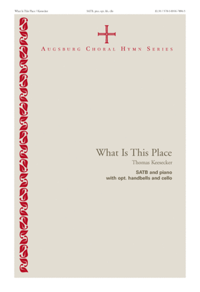 Book cover for What is This Place?