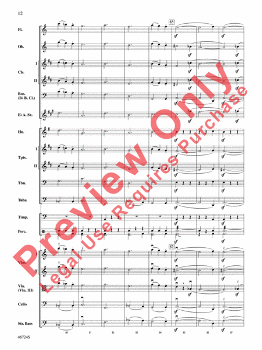 Symphony No. 5 Symphony No. 5 Full Orchestra scores gallery preview page 13