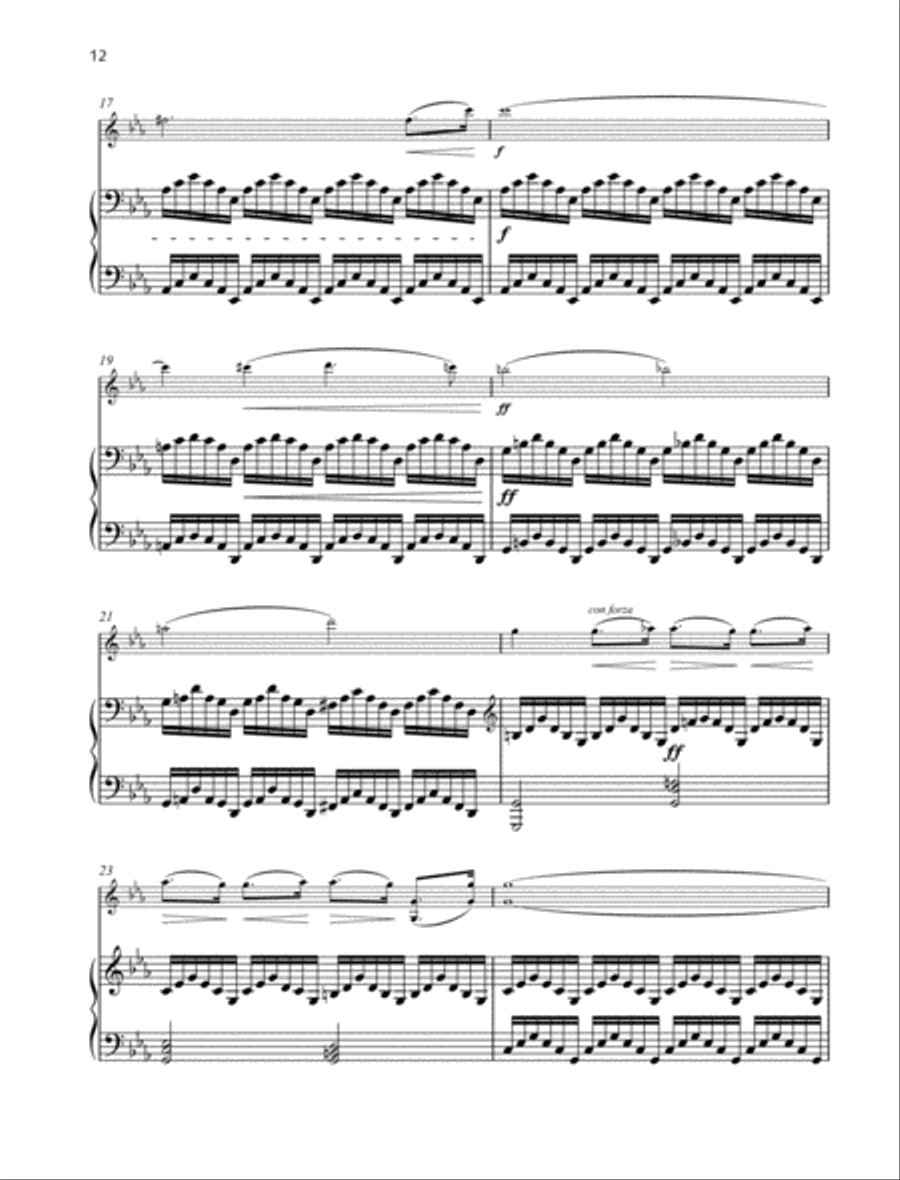 Désespoir Violin Solo scores gallery preview page 4