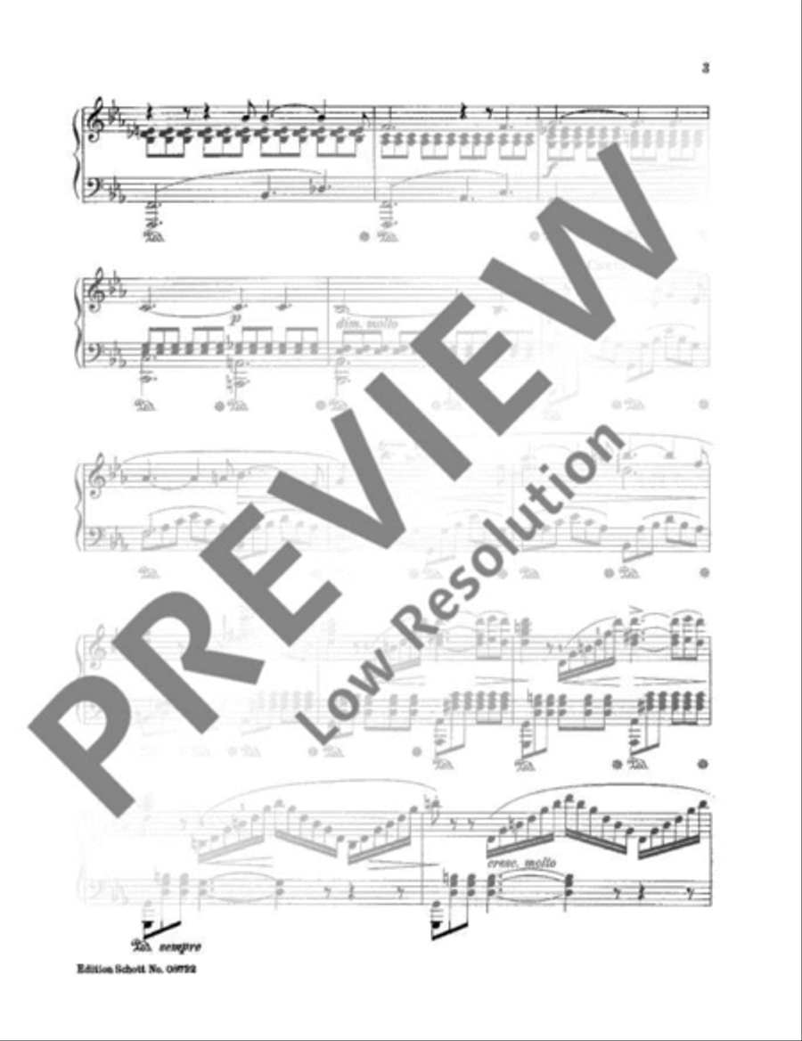 Der Wanderer Piano Solo scores gallery preview page 4