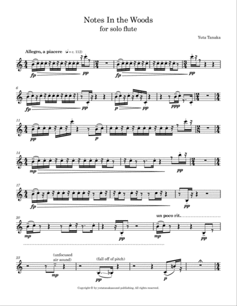 Notes In the Woods for solo flute Flute Solo scores gallery preview page 3