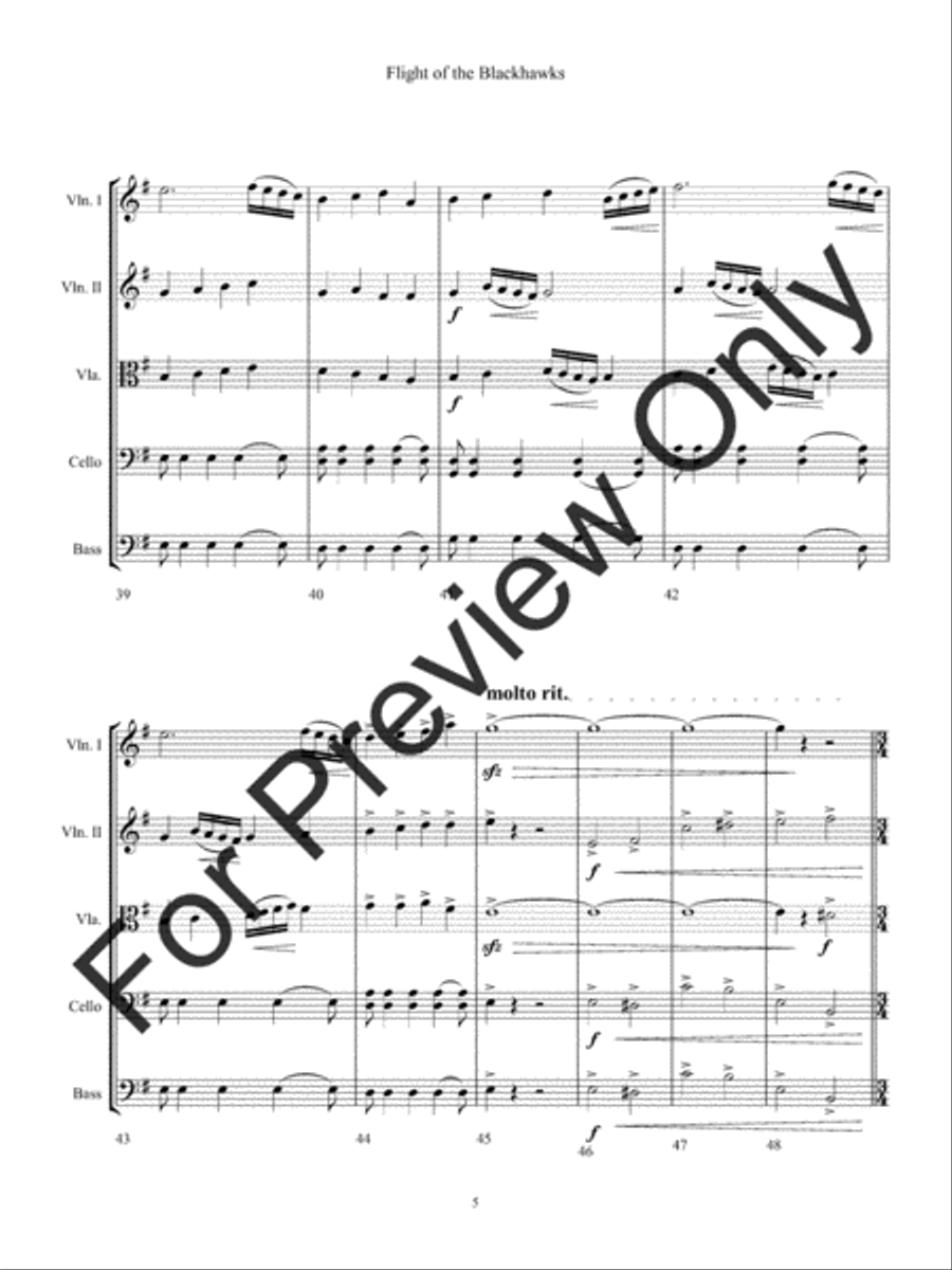 Flight of the Blackhawks Flight of the Blackhawks String Orchestra scores gallery preview page 8