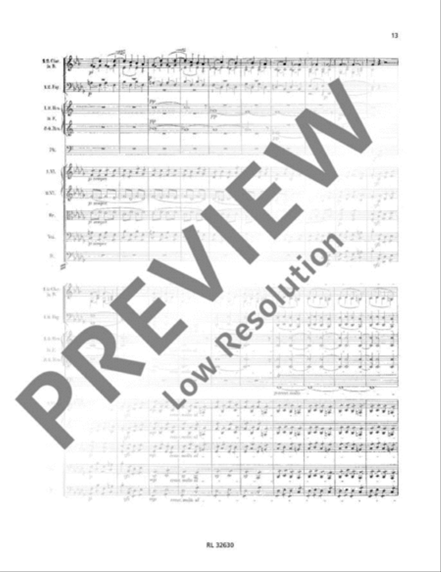 Concerto D minor Concerto D minor Orchestra scores gallery preview page 14