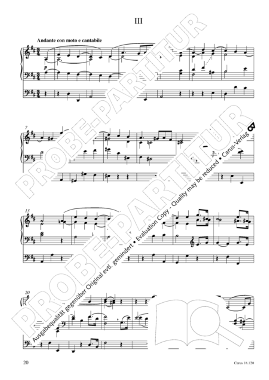 Sonata in D minor about the chorale O Haupt voll Blut und Wunden Organ scores gallery preview page 21