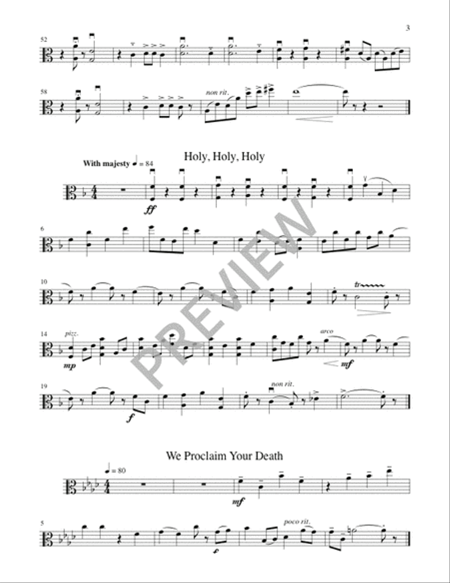 A Community Mass - String edition Flute scores gallery preview page 12