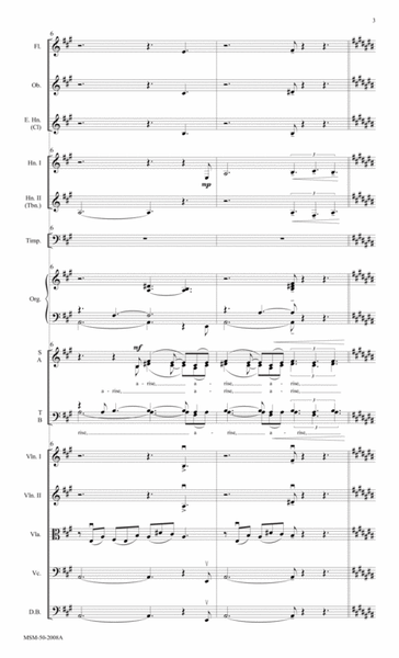 Arise, Shine for Your Light Has Come (Downloadable Orchestra Score)