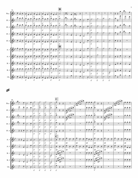 Symphony No. 6 "Pastorale" Mvt 3 for Flute Choir image number null