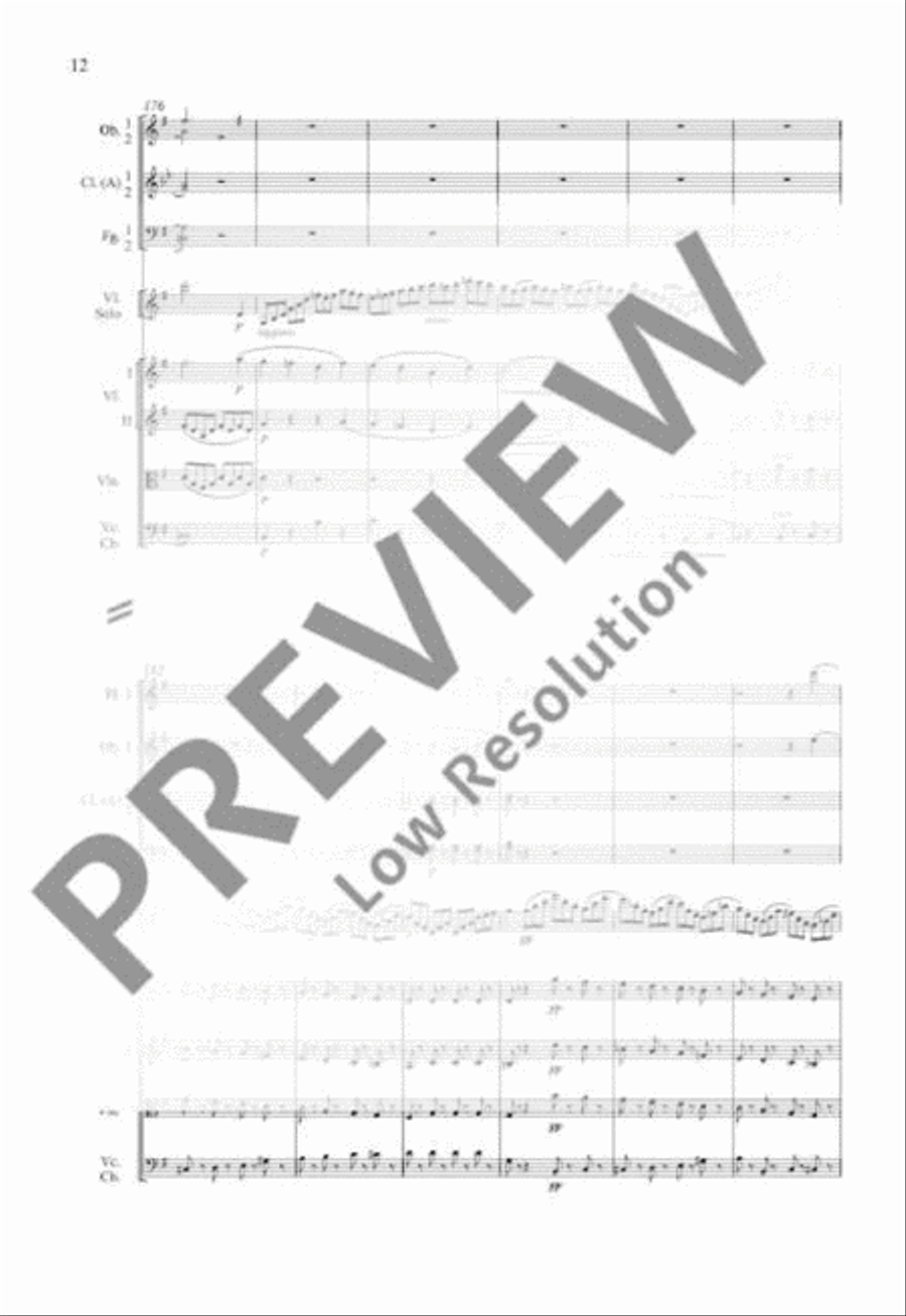 Concerto E minor Orchestra scores gallery preview page 19