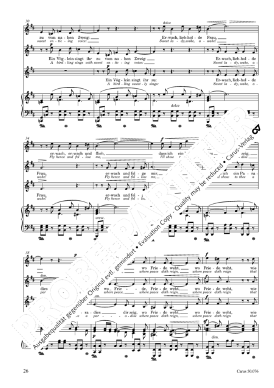 Toggenburg Toggenburg SSATB scores gallery preview page 29