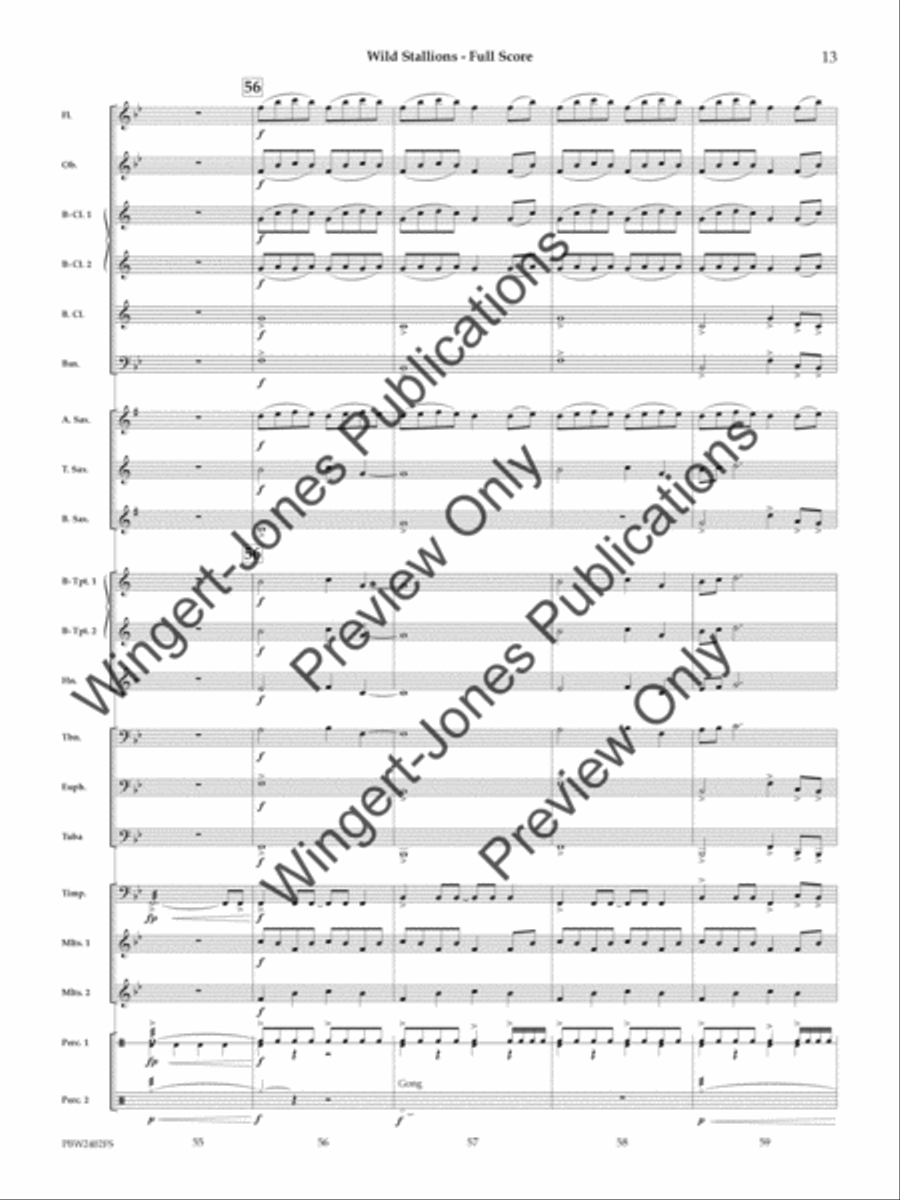 Wild Stallions (Score) Concert Band scores gallery preview page 14