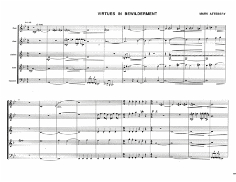 Virtues In Bewilderment for Wind Quintet Woodwind Quintet scores gallery preview page 2