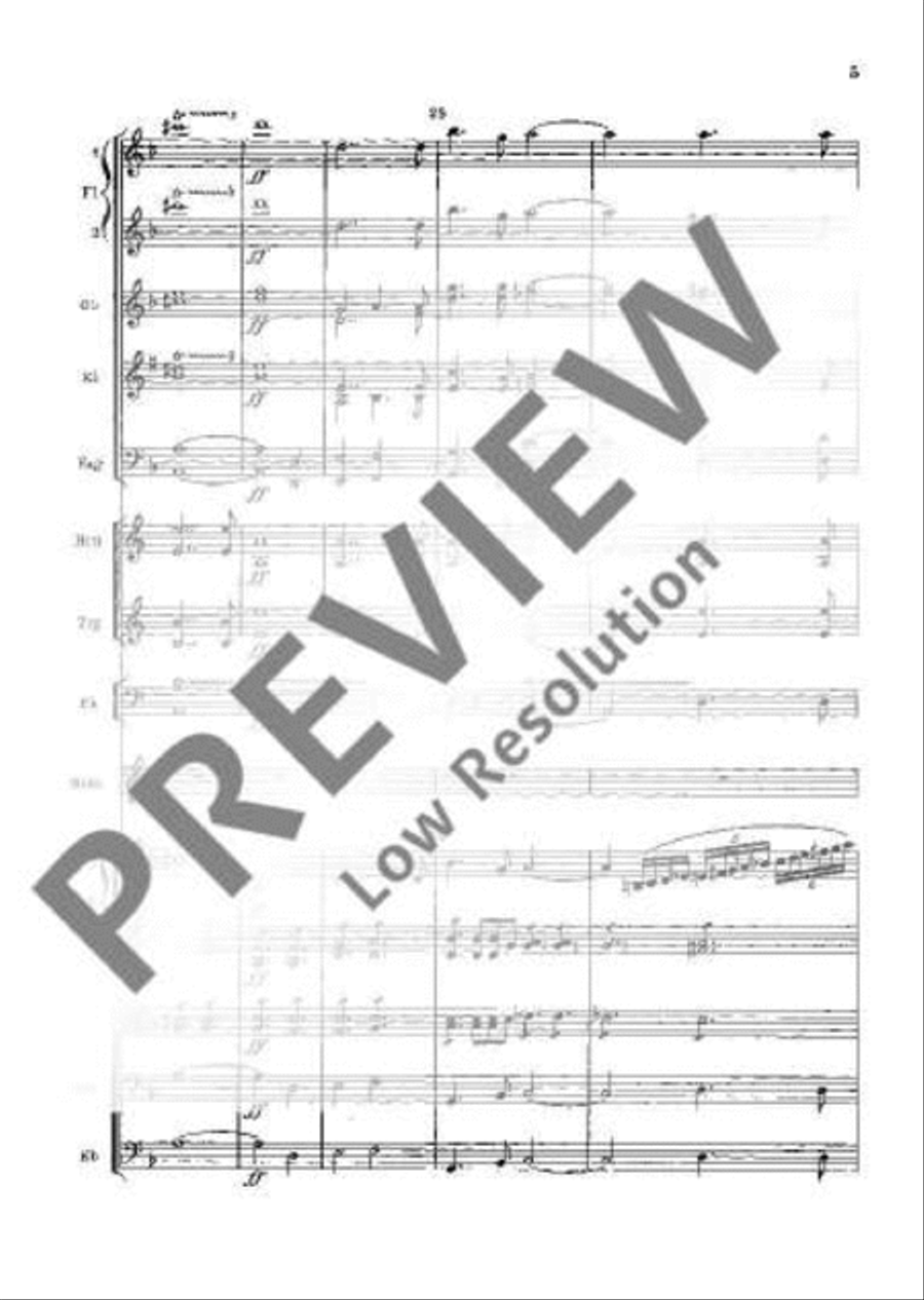 Concerto D Minor Orchestra scores gallery preview page 10