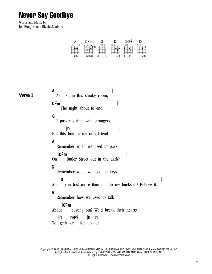 Never Say Goodbye Acoustic Guitar scores gallery preview page 1