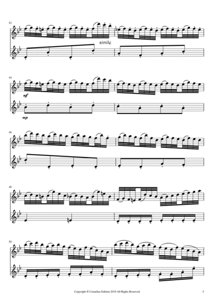 Symphony No. 101 Franz Joseph Haydn Hob.1:101"The Clock" 2nd Movement "Andante" Flute Duet Ensemble image number null