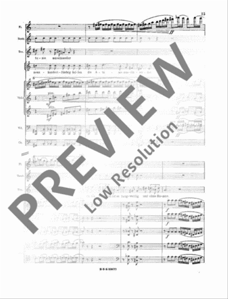 Das Wasser Mixed Choir scores gallery preview page 16