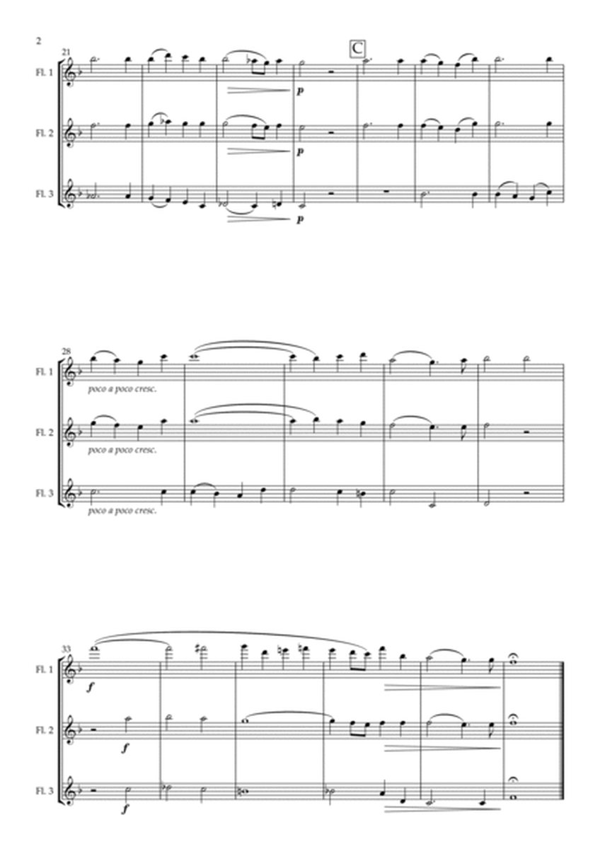Ave Verum Corpus K. 618 arranged for Flute Trio image number null