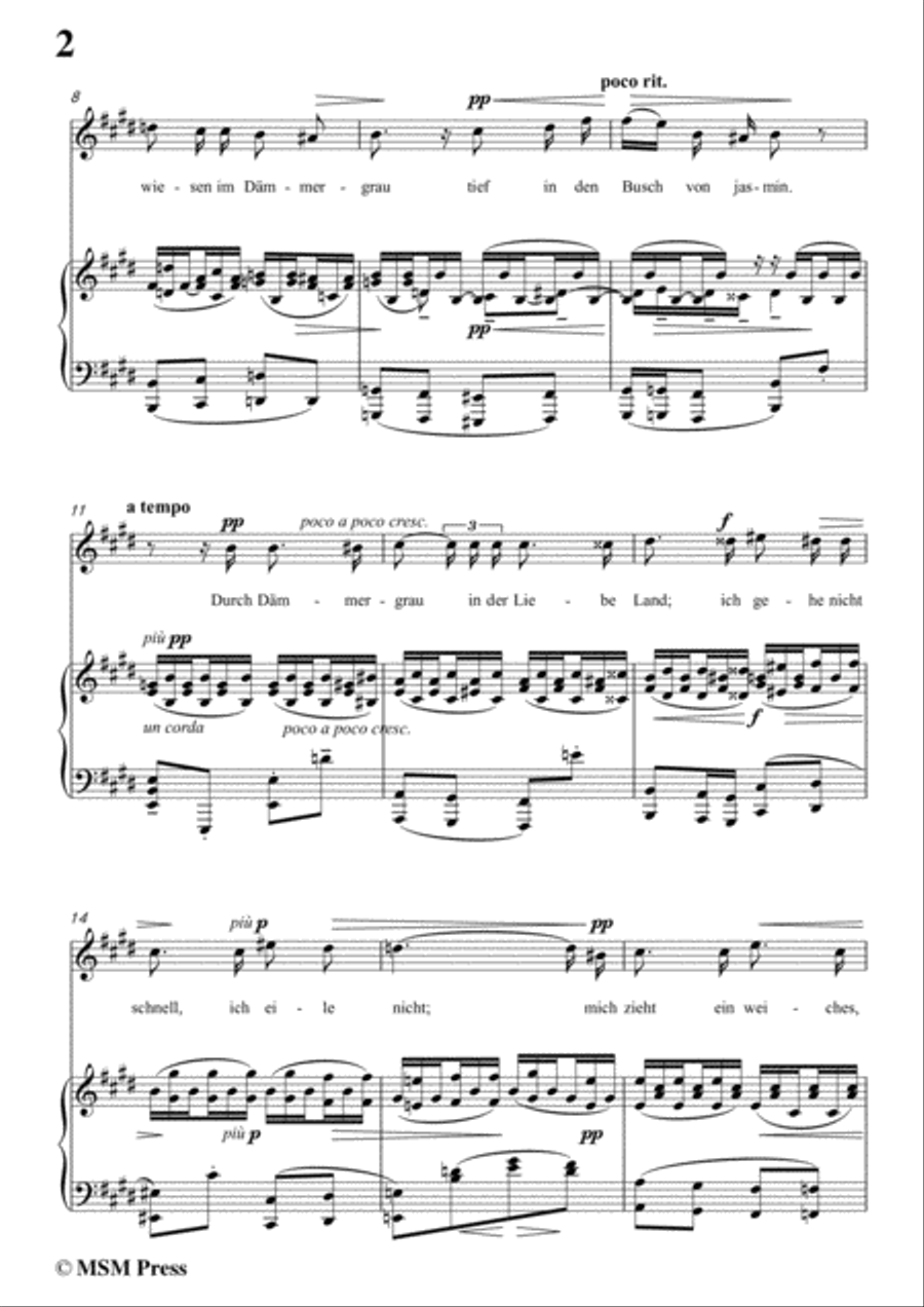 Reger-Traum durch die Dämmerung in E Major,for Voice and Piano Voice Solo scores gallery preview page 4