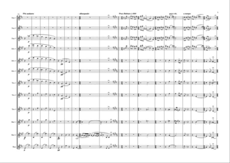 Hungarian Peasant Songs, arranged for Saxophone Choir Woodwind Ensemble scores gallery preview page 5