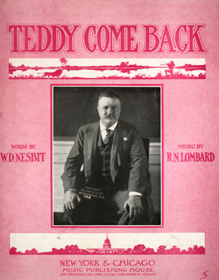 Teddy Come Back