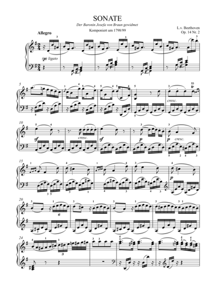 Beethoven - Piano Sonata Op.14 No.2
