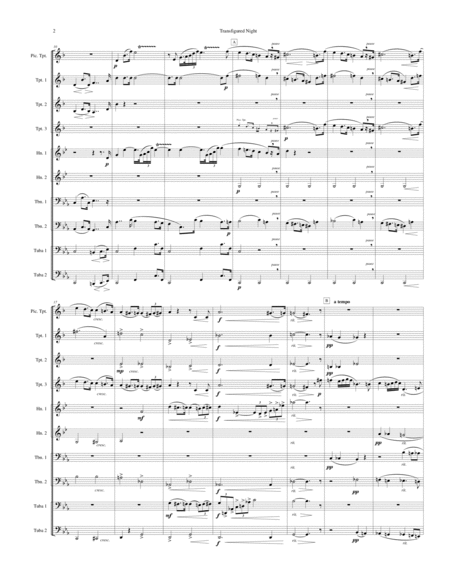 Transfigured Night (Verklärte Nacht, Op. 4) (for Brass Ensemble) image number null