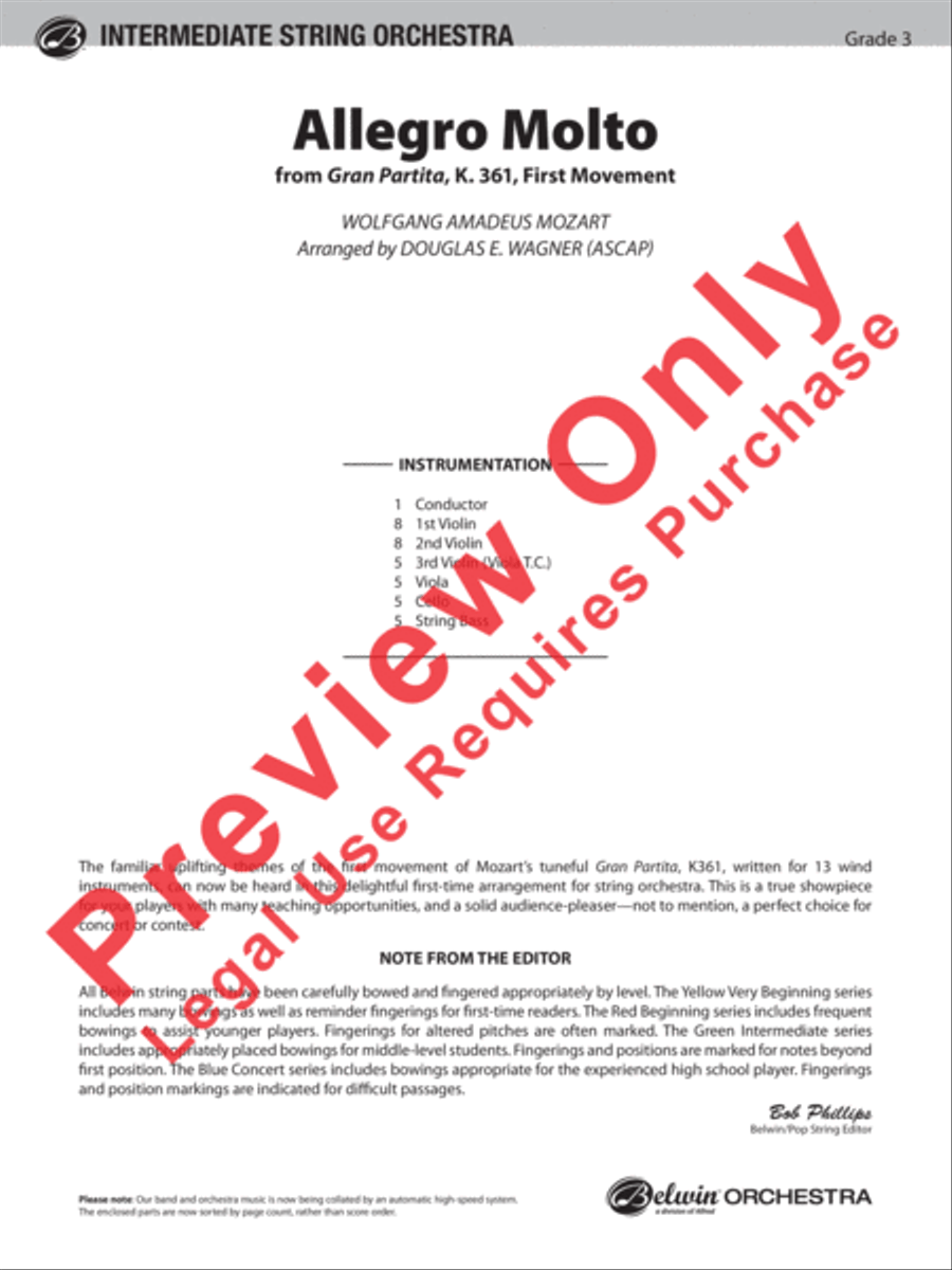 Allegro Molto Allegro Molto String Orchestra scores gallery preview page 2