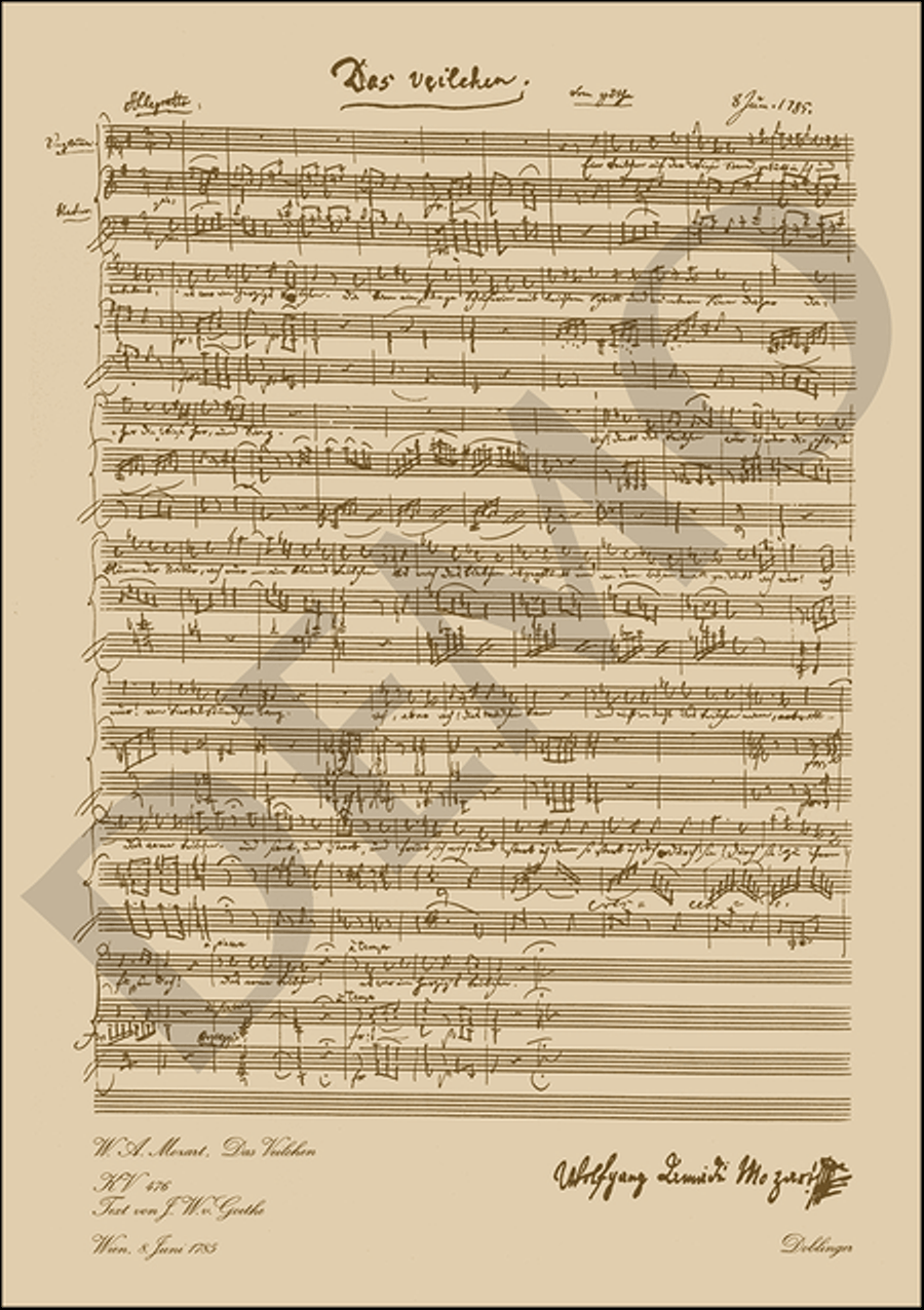 Das Veilchen School and Community scores gallery preview page 1