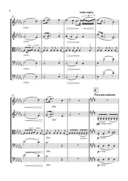 Chopin: Raindrop Prelude for String Orchestra - Score and Parts