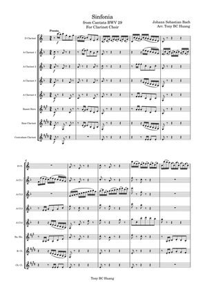 Sinfonia from Cantata, BWV.29
