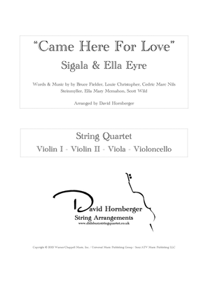 Book cover for Came Here For Love