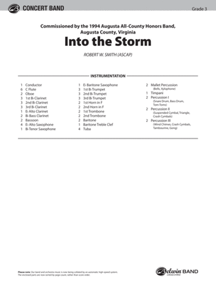 Book cover for Into the Storm: Score
