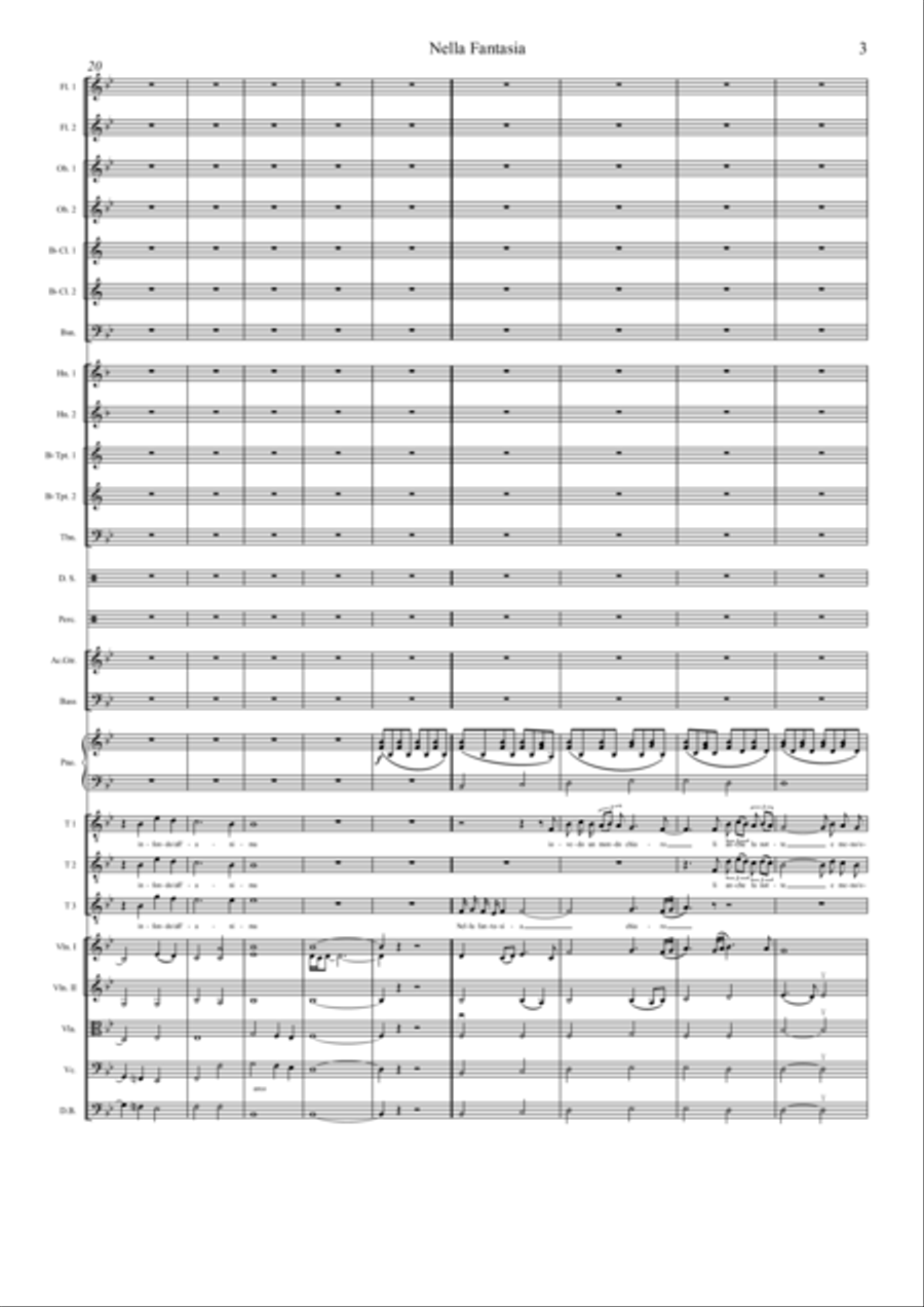 Nella Fantasia Full Orchestra scores gallery preview page 4