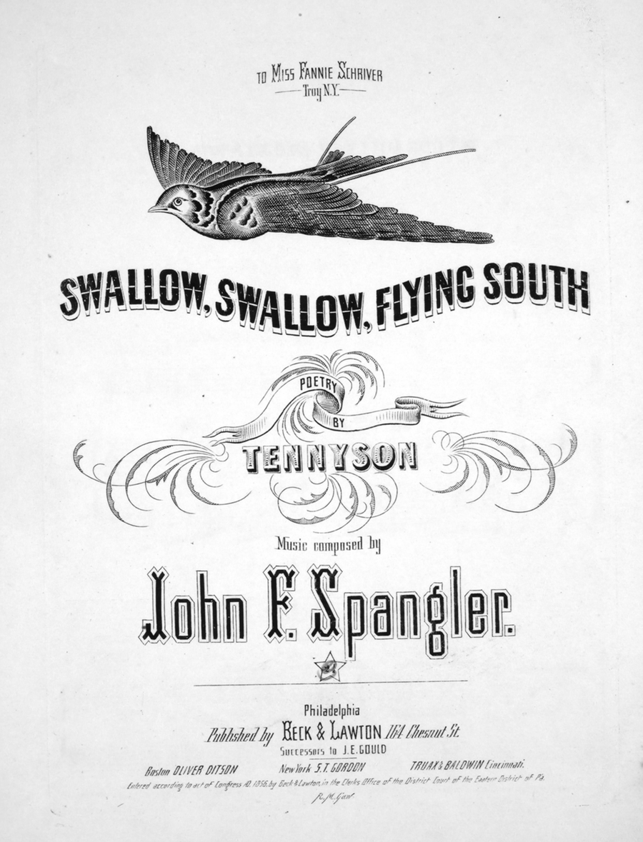 Swallow, Swallow, Slying South