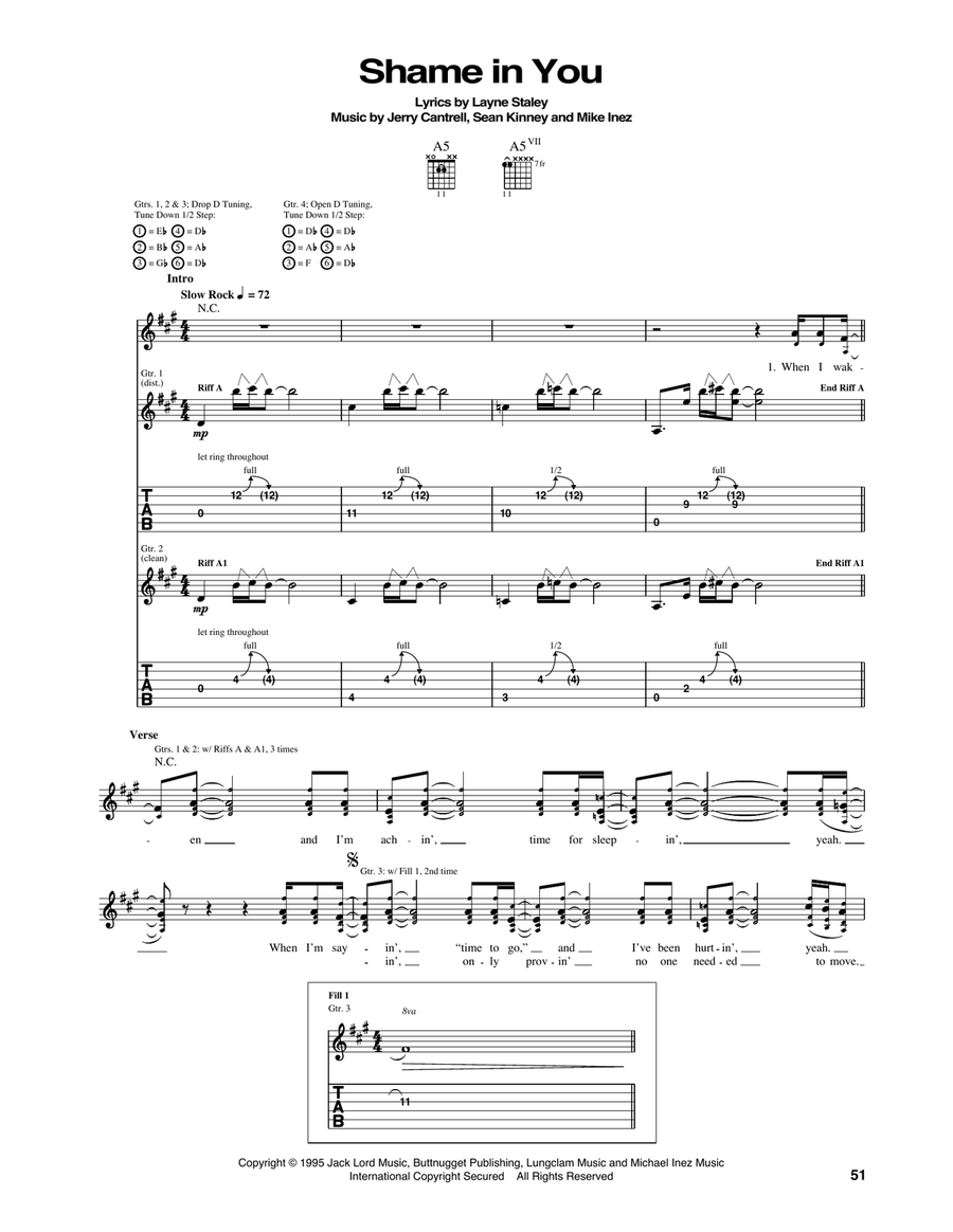 Shame In You Acoustic Guitar scores gallery preview page 1