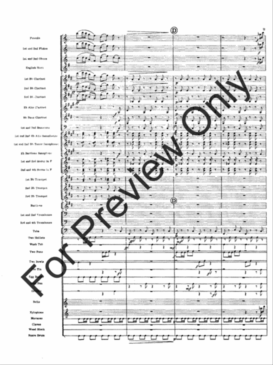 Variations On A Kitchen Sink Concert Band scores gallery preview page 14