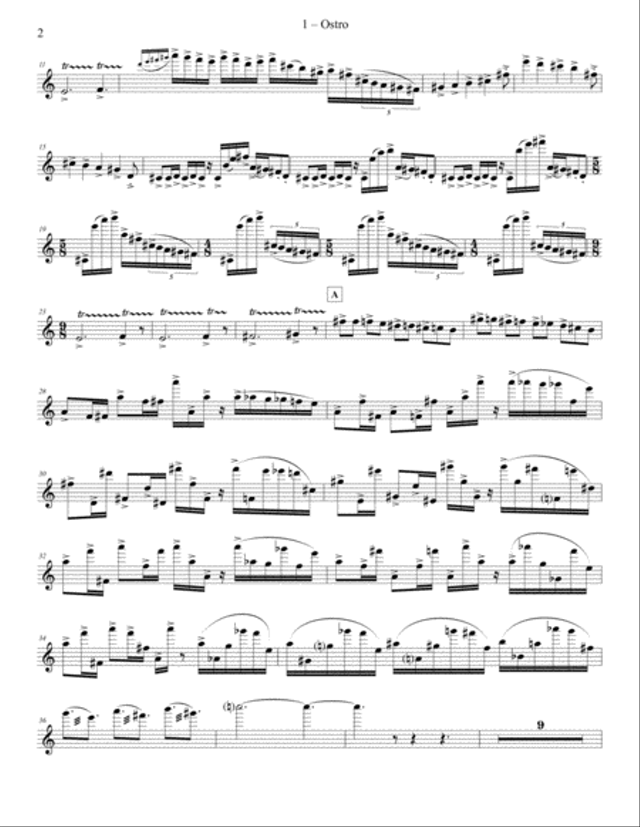 Tempest-Concerto for Flute and Orchestra (Piano Reduction) Flute Solo scores gallery preview page 2