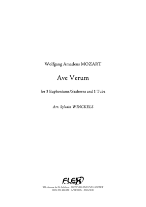 Book cover for Ave Verum