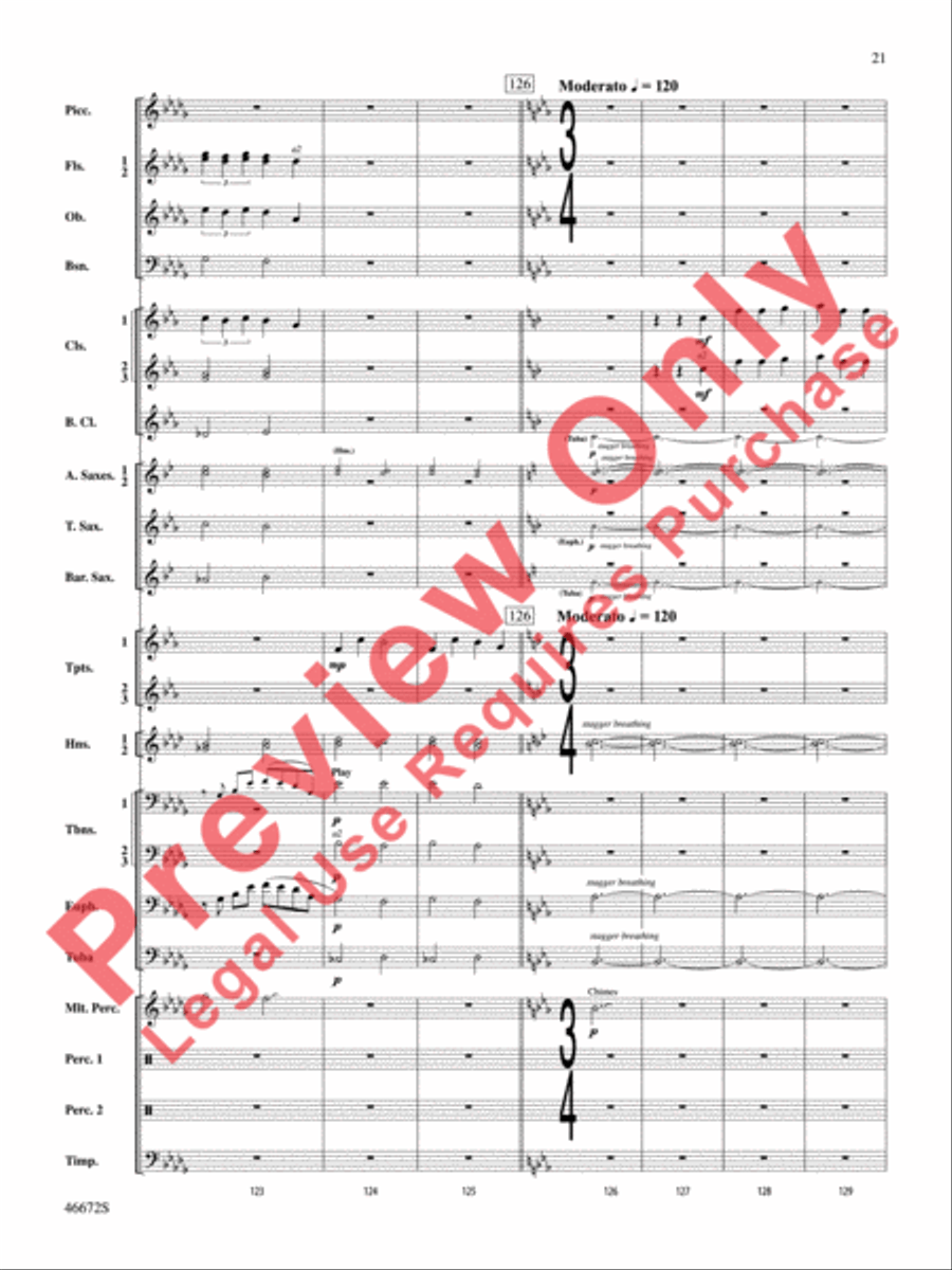 Variants on an English Sea Song Concert Band scores gallery preview page 22