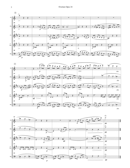 Overture Op.24 for Woodwind Quintet