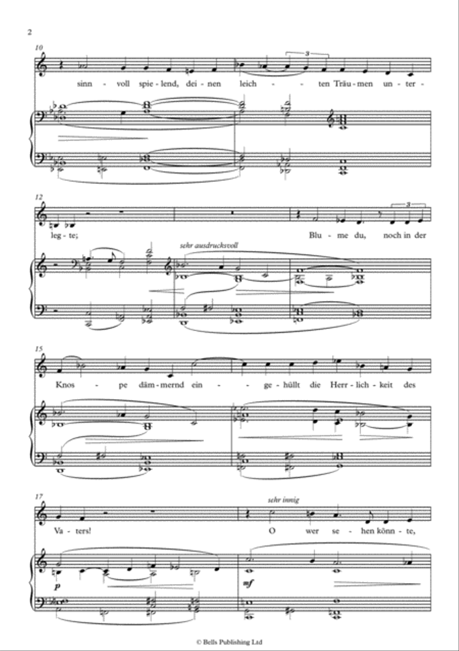 Schlafendes Jesuskind (C Major) Voice Solo scores gallery preview page 2