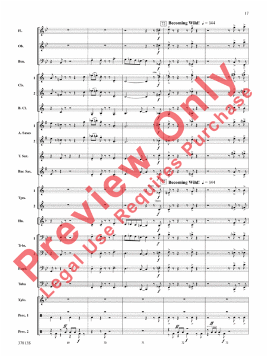 Ants in My Pants Concert Band scores gallery preview page 17